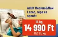 Adult Medium&Maxi Lazac, répa és spenót