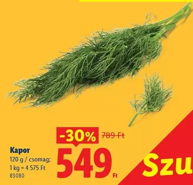 Kapor