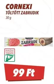 TÖLTÖTT ZABRUDIK
