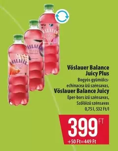 Echinacea - Juicy Plus, Juicy