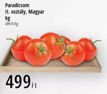 Paradicsom