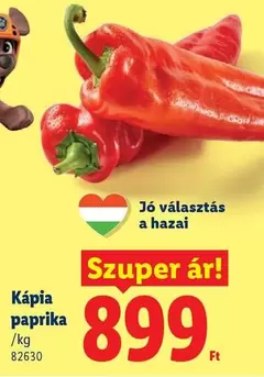 Paprika - Kápia paprika /kg 82630