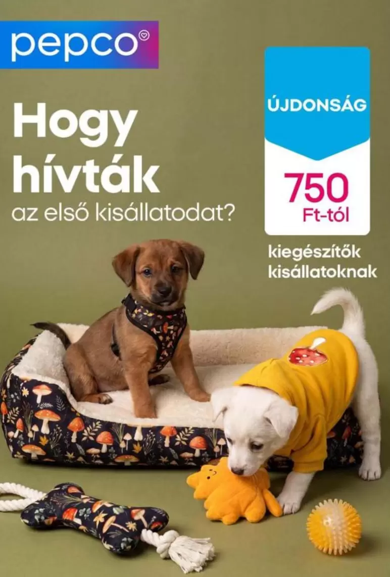 kiegészítők kisállatoknak
