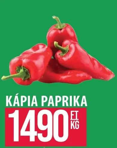 Paprika - KÁPIA PAPRIKA
