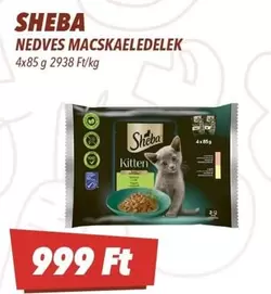 NEDVES MACSKA<0xC3><0x81>ELEDELEK