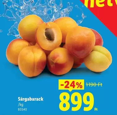 Sárgabarack /kg 80340