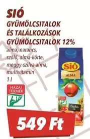 GYÜMÖLCSITALOK ÉS TALÁLKOZÁSOK GYÜMÖLCSITALOK
