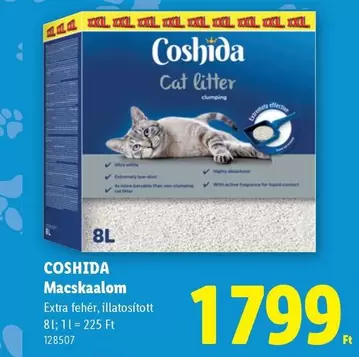 Xxl - Cat litter