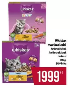 Junior macskaeledel