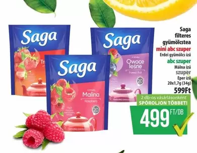 Saga filteres gyümölcstea