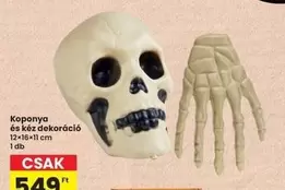 Koponya és kéz dekoráció
