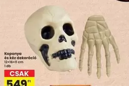 Koponya és kéz dekoráció