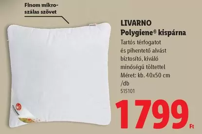 Polygien
kispárna