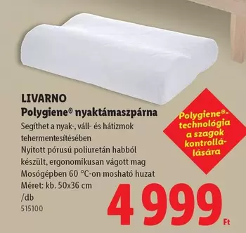 LIVARNO Polygiene® nyaktámaszpárna
