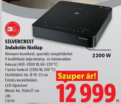 Indukciós főzőlap