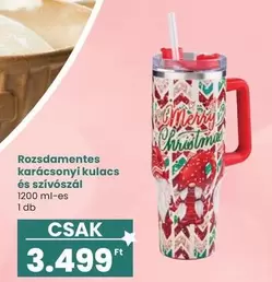 Rozsdamentes karácsonyi kulacs és szívószál