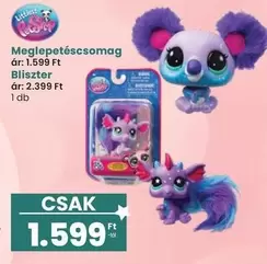 Meglepetéscsomag