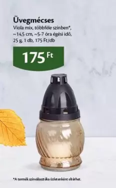 Üvegmécses