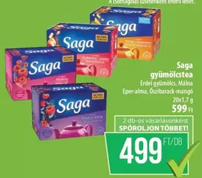 Saga gyümölcstea