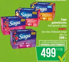 Saga gyümölcstea
