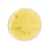 Harvest Moon