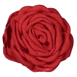 Hairslide