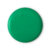 Lord Of Misrule