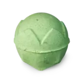 Lord Of Misrule