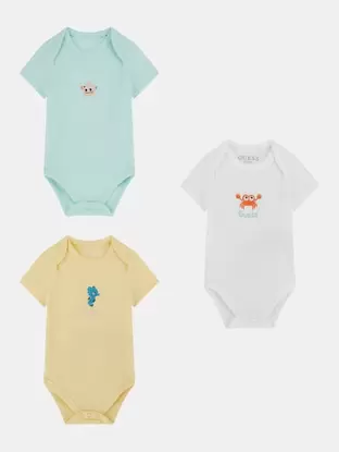 Print bodies set