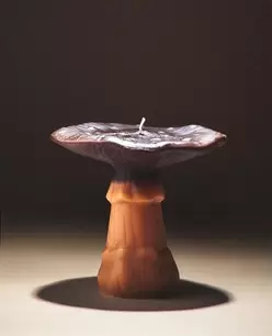 LARGE DARK PUMPKIN SPICE SCENTED MUSHROOM CANDLE