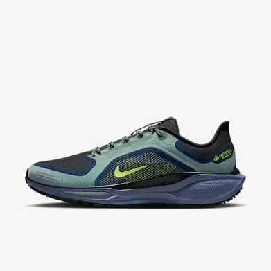 Nike Pegasus 41 GORE-TEX