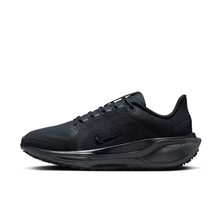 Nike Pegasus 41 GORE-TEX