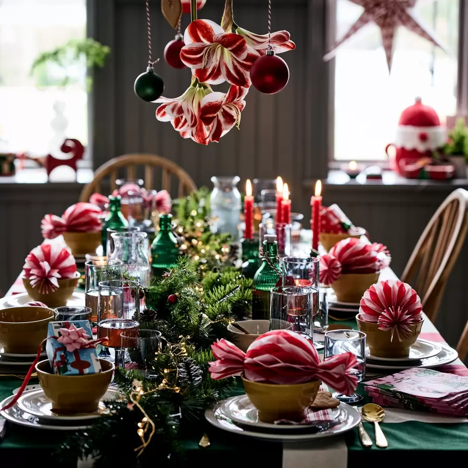 VINTERFINTVINTERFINTVINTERFINTSTRÅLAIKEA 365+SKOGSTATILLAGDSANDSKÄDDAVINTERFINTVINTERFINTSANDSKÄDDASANDSKÄDDAVINTERFINT