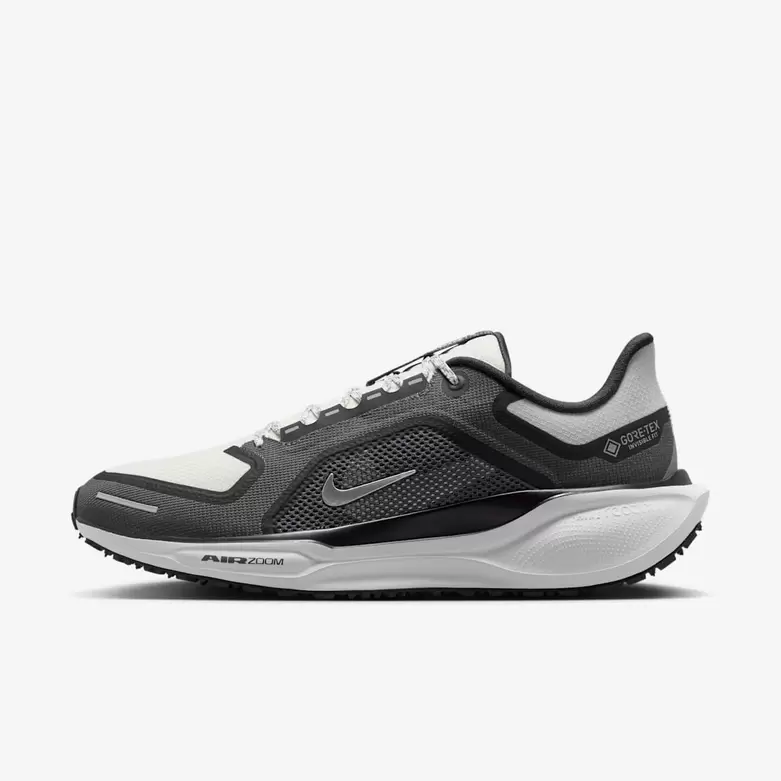 Nike Pegasus 41 GORE-TEX