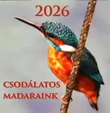 Csodálatos Madaraink 2026. naptár - 19x19 cm