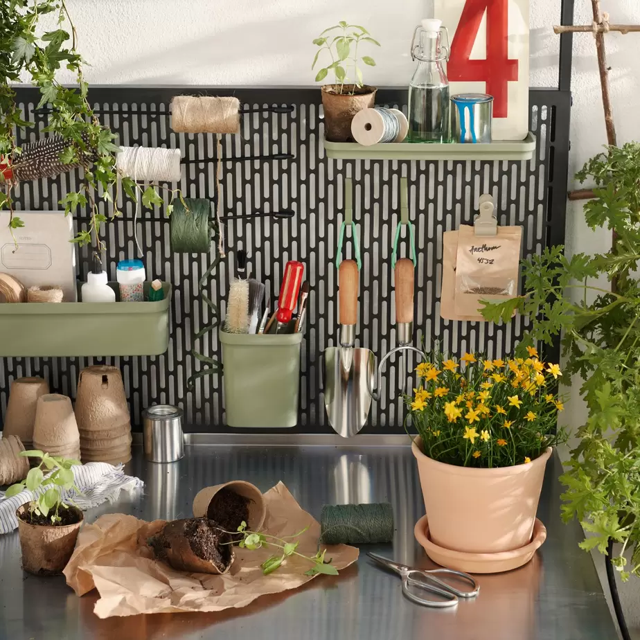 MUSKOTBLOMMABRYTBÖNALÄRKARKORKENGRILLSKÄRGRILLSKÄR