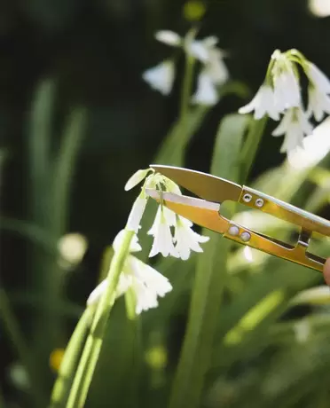 GARDEN CUTTING SHEARS