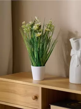 Dekoratív növény cserépben – fű és százszorszépek