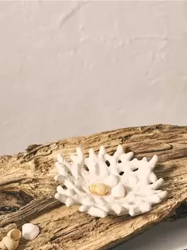 Dekoratív kerámia tál korall formában