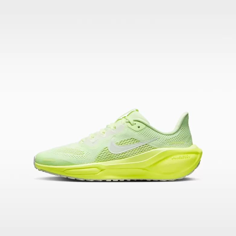 Nike Pegasus 41