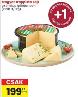 Magyar trappista sajt