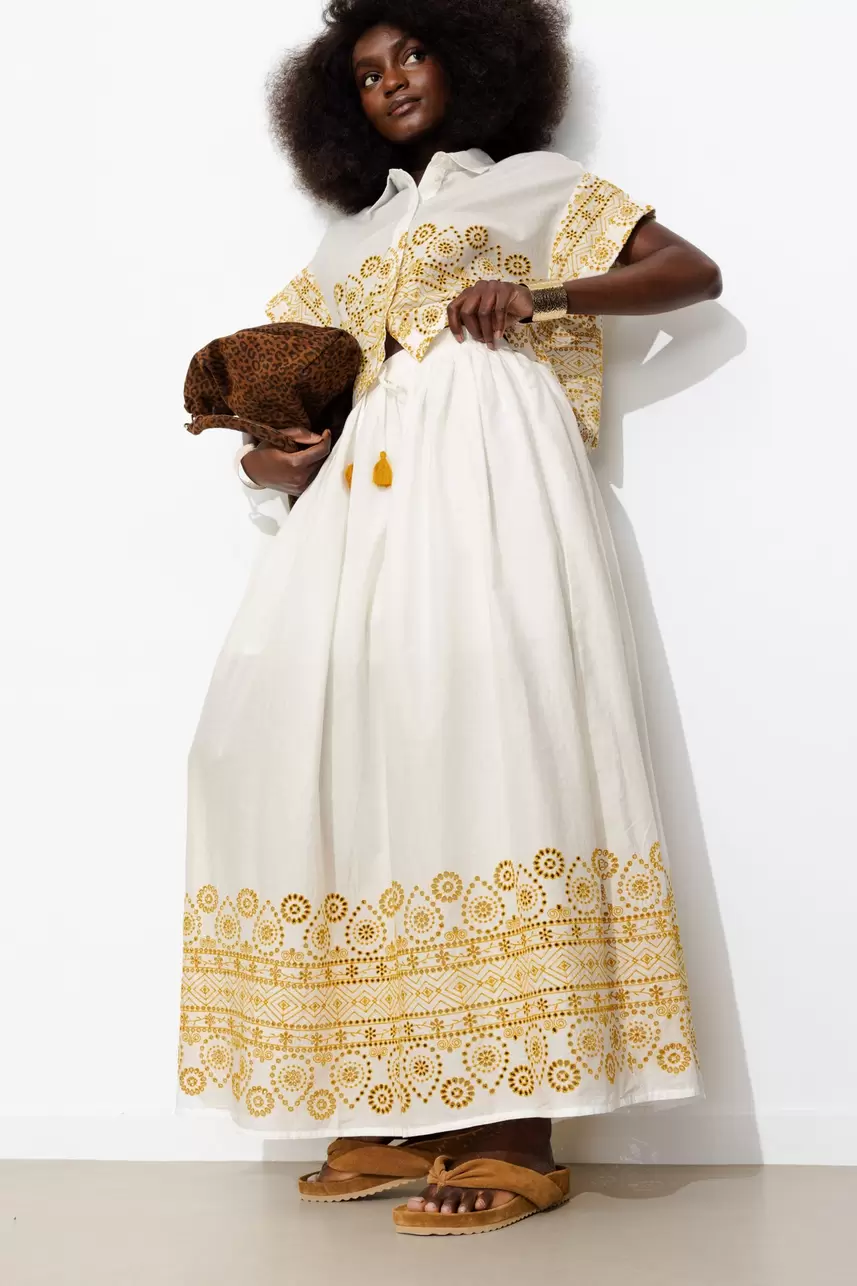 Embroidered flared long skirt
