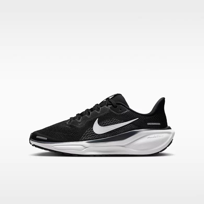 Nike Pegasus 41