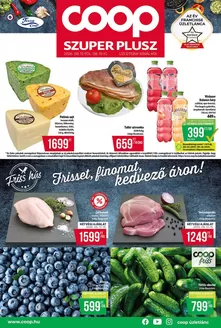 Coop katalógus | Széles választék az ajánlatokból | 2026-08-13T00:00:00.000Z - 2026-08-19T00:00:00.000Z