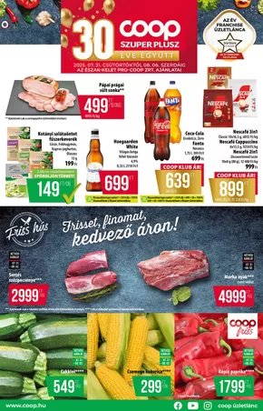 Coop katalógus, Gyöngyöspata | Csúcsajánlatok a takarékosoknak | 2025-07-31T00:00:00.000Z - 2025-08-06T00:00:00.000Z