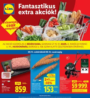 Lidl katalógus, Kecskemét | Exkluzív akciók | 2025-09-11T00:00:00.000Z - 2025-09-14T00:00:00.000Z