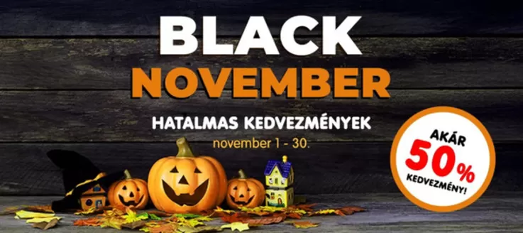 Játéksziget katalógus | 50% | 2025-11-01T00:00:00.000Z - 2025-11-30T00:00:00.000Z