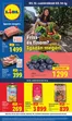 Lidl katalógus, Nádudvar | Akciós újság 11. hét | 2026-03-12T00:00:00.000Z - 2026-03-18T00:00:00.000Z