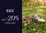 CCC katalógus | CCC akciós | 2026-05-01T00:00:00.000Z - 2026-05-15T00:00:00.000Z