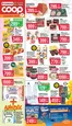 Coop katalógus | Ajánlatok kedvezményvadászoknak | 2026-08-13T00:00:00.000Z - 2026-09-02T00:00:00.000Z